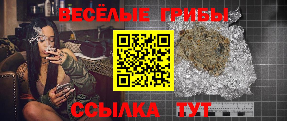 цена   Вход с VPN  Джанкой  Галлюциногенные грибы GOLDEN TEACHER 